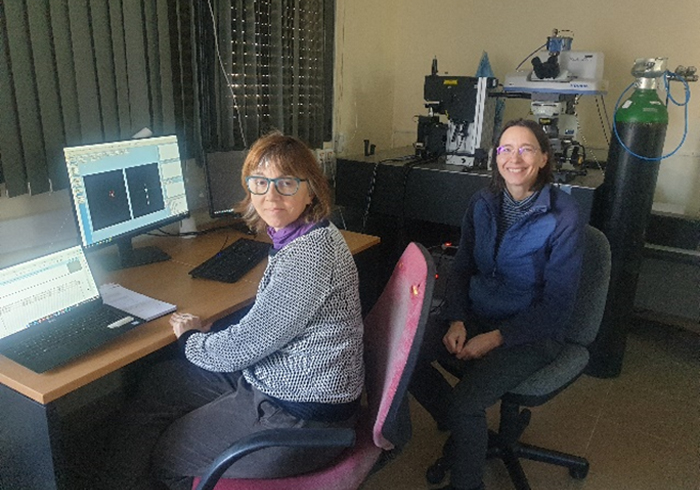 Segunda edición del curso “Microscopia de fuerza atómica colocalizada con técnicas ópticas AFM/RAMAN”